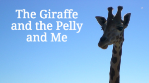 The Giraffe and the Pelly and Me Quiz