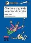 book review on charlie and the great glass elevator