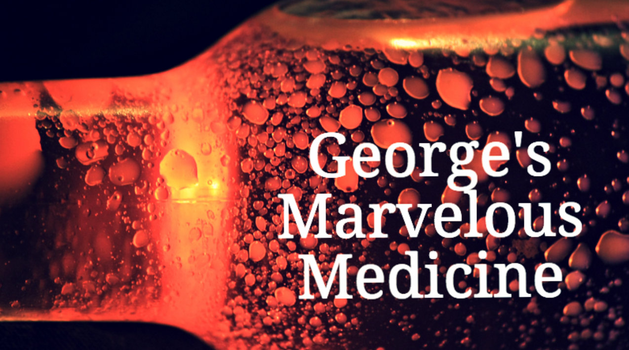 George's Marvelous Medicine Quiz